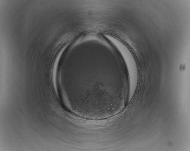 X0000094790027200711161445