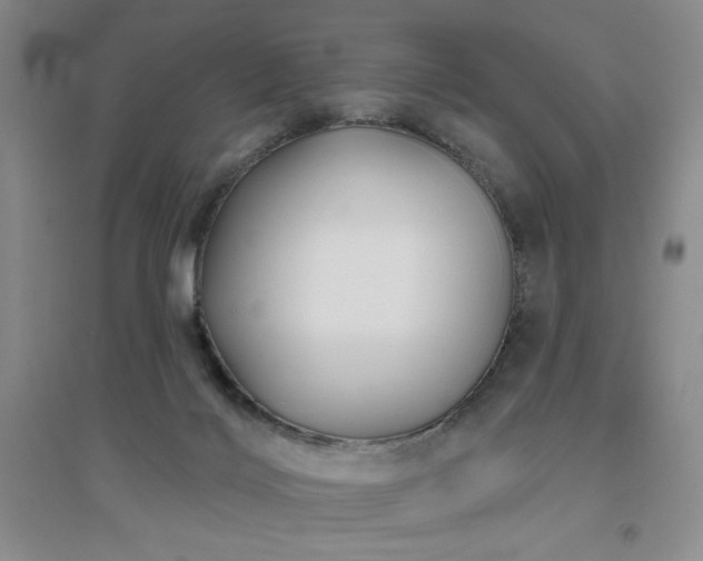 X0000094790028200711161445