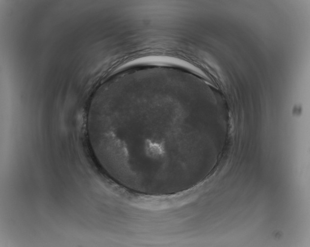 X0000094790029200711161444