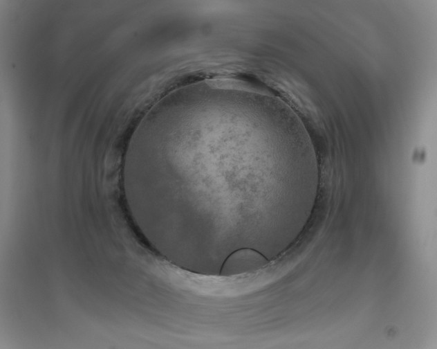 X0000094790030200711161444