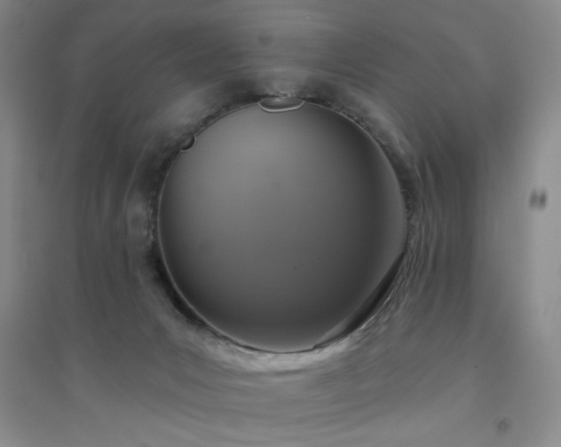 X0000094790031200711161444