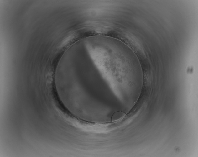 X0000094790032200711161444