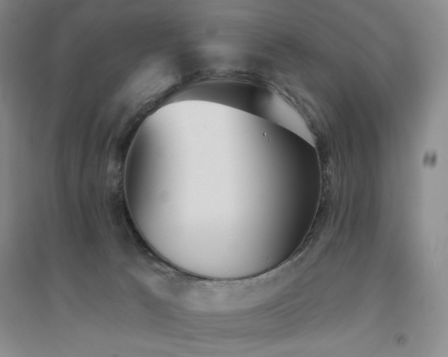 X0000094790033200711161444