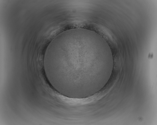 X0000094790034200711161444