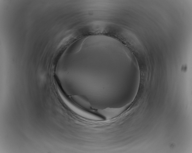 X0000094790035200711161444