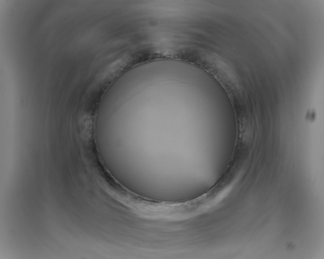 X0000094790036200711161444