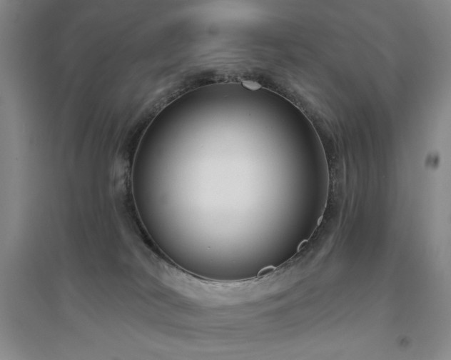 X0000094790038200711161444