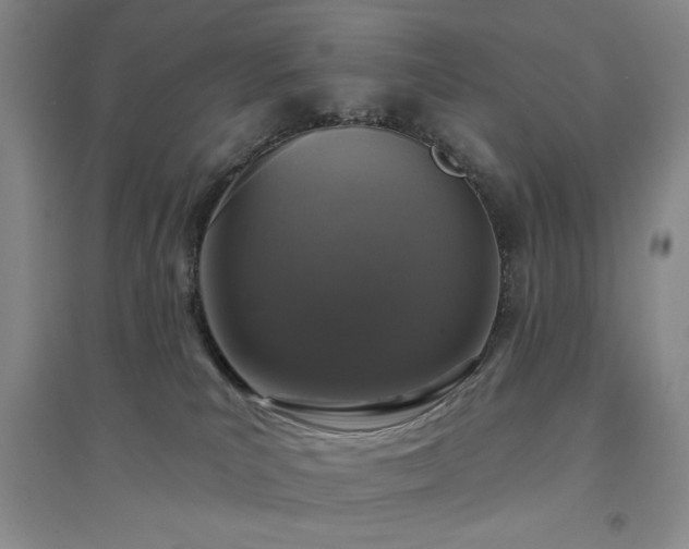 X0000094790039200711161444