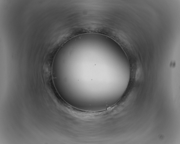 X0000094790040200711161444