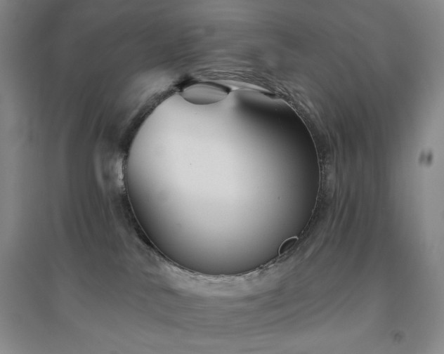 X0000094790042200711161444