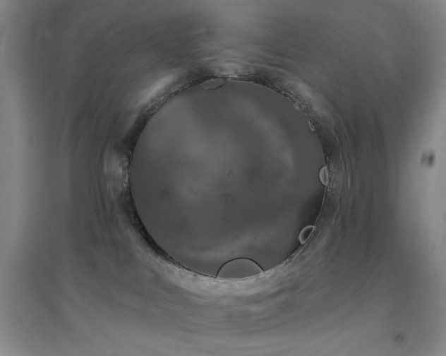 X0000094790043200711161444