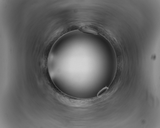 X0000094790044200711161444