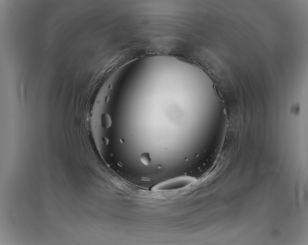 X0000094790045200711161444