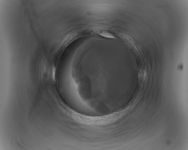 X0000094790046200711161444