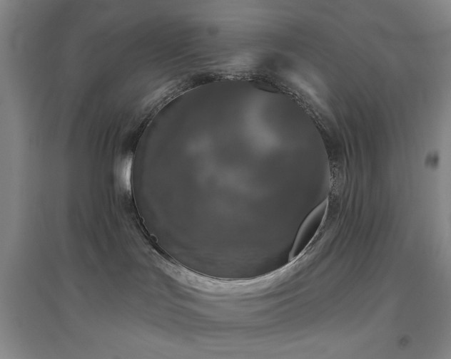 X0000094790047200711161444