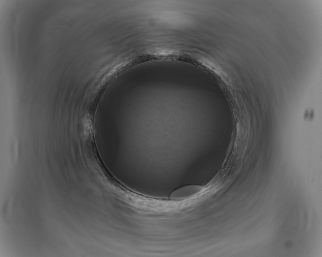 X0000094790048200711161444