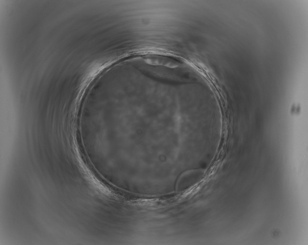 X0000094790049200711161443