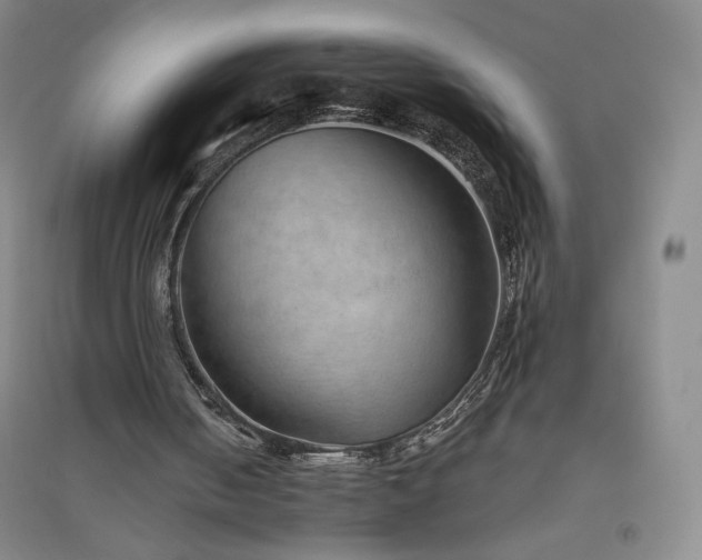 X0000094790050200711161443