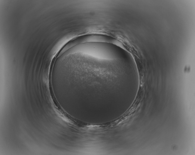 X0000094790052200711161443