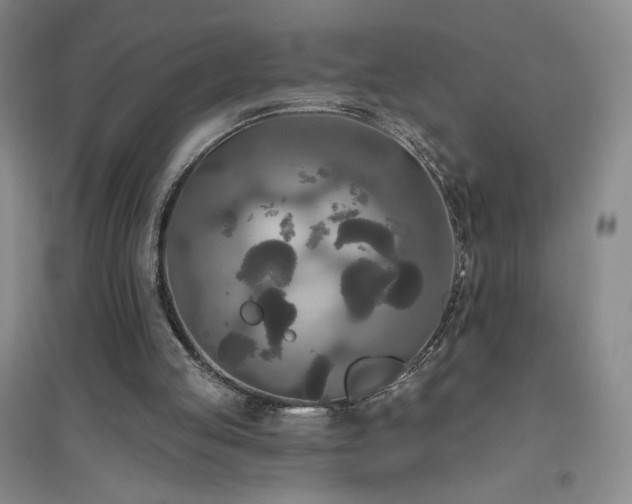 X0000094790053200711161443