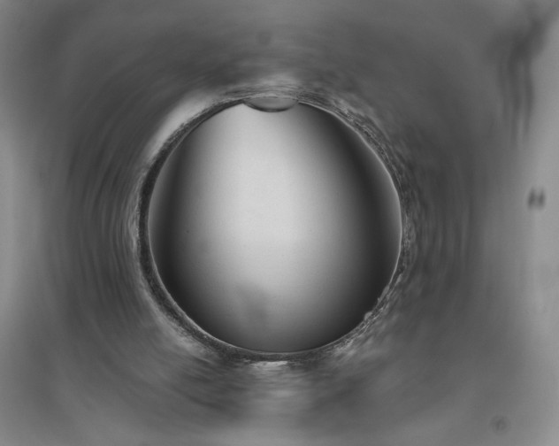 X0000094790054200711161443