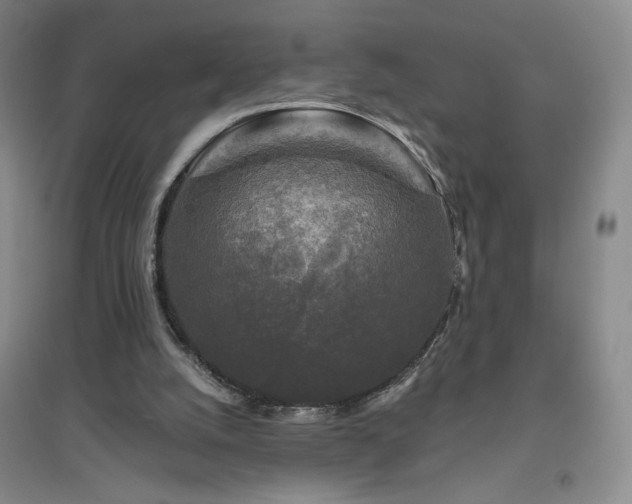 X0000094790056200711161443