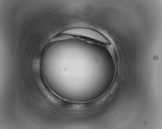 X0000094790057200711161444