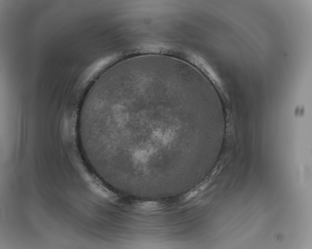 X0000094790058200711161444