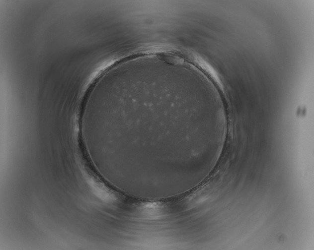 X0000094790059200711161444