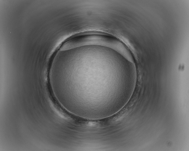 X0000094790060200711161444