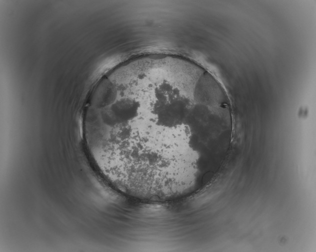 X0000094790061200711161444