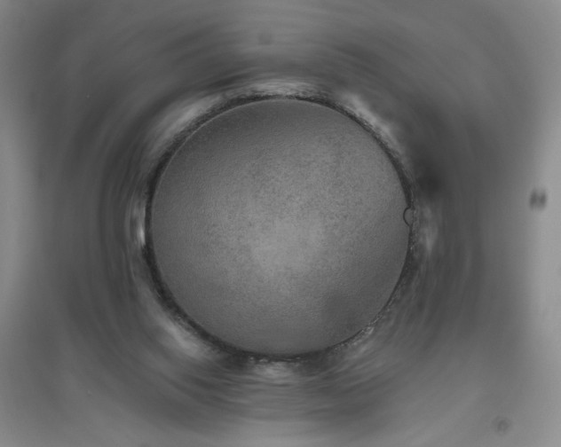 X0000094790062200711161444