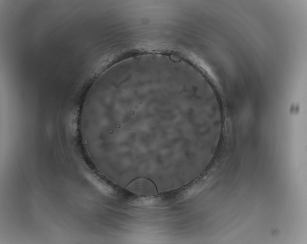 X0000094790065200711161444