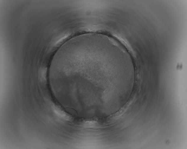 X0000094790066200711161444