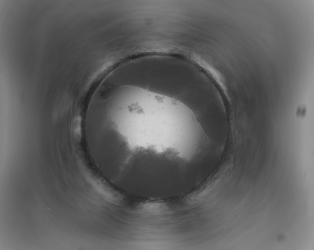 X0000094790067200711161444