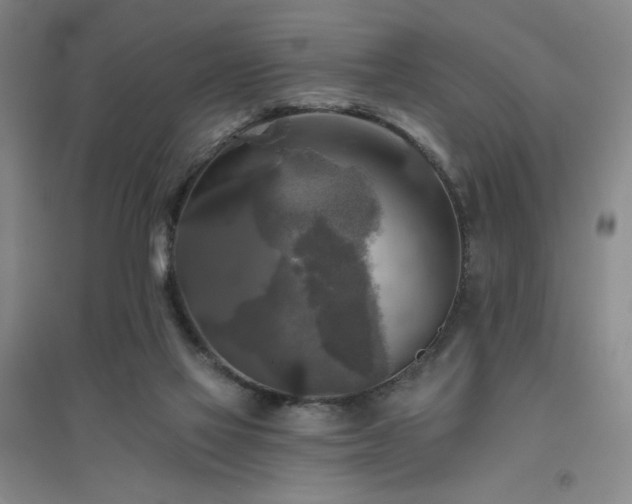 X0000094790069200711161444