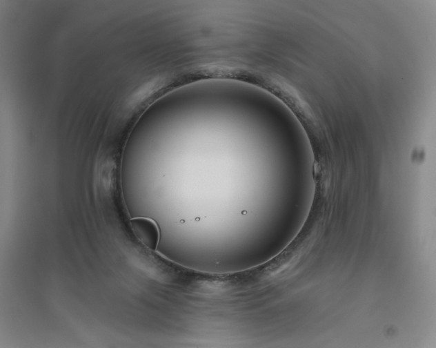 X0000094790071200711161444