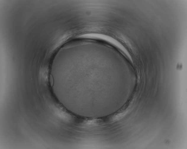 X0000094790072200711161444