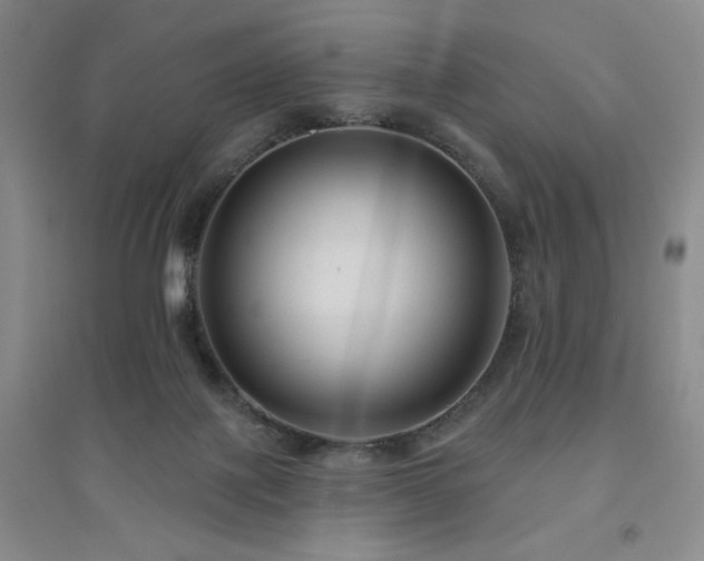 X0000094790075200711161444