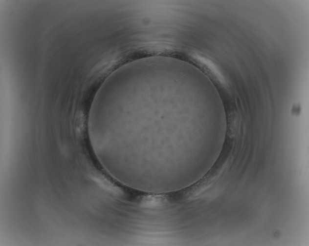 X0000094790077200711161444