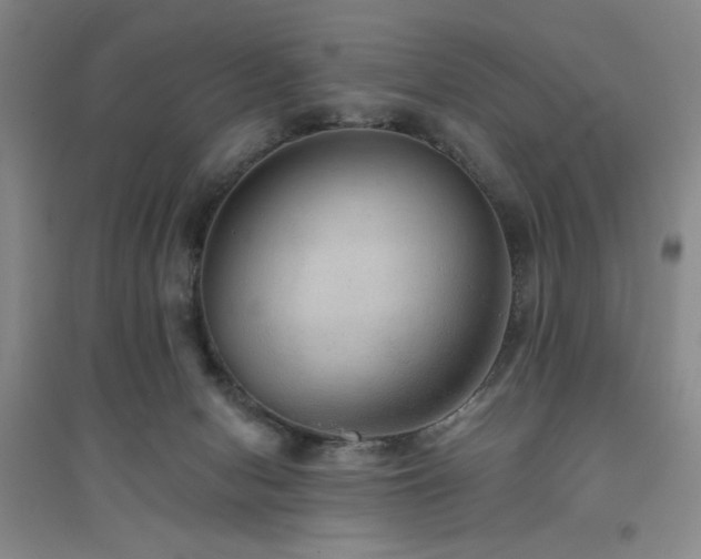 X0000094790078200711161444