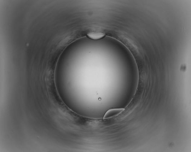 X0000094790079200711161444