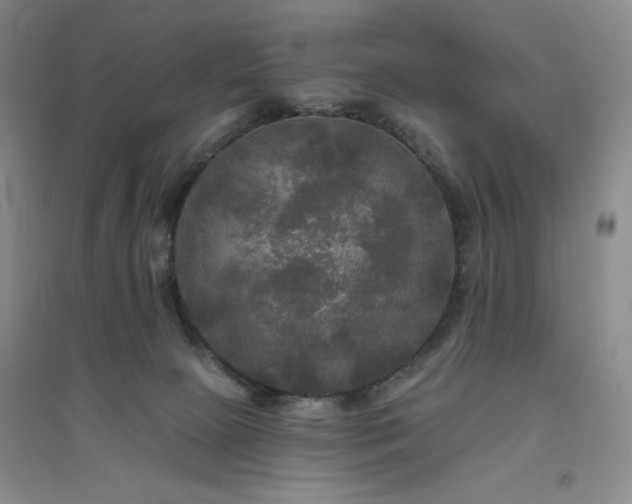 X0000094790081200711161444