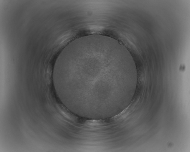 X0000094790082200711161444