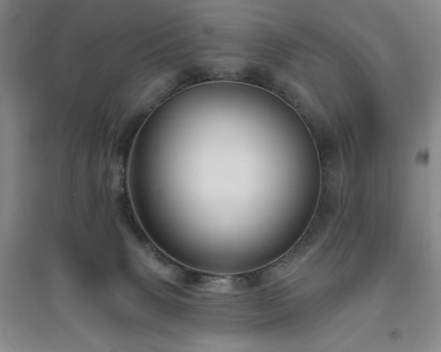 X0000094790083200711161444