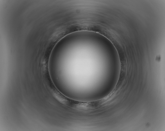 X0000094790086200711161444