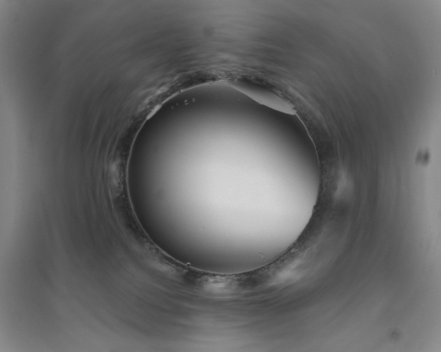 X0000094790088200711161444