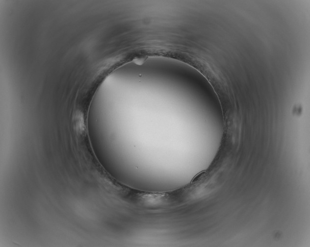 X0000094790089200711161444