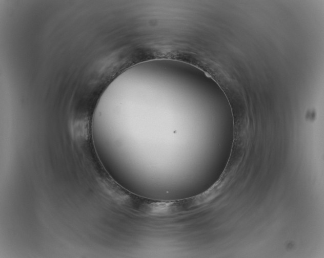 X0000094790090200711161444