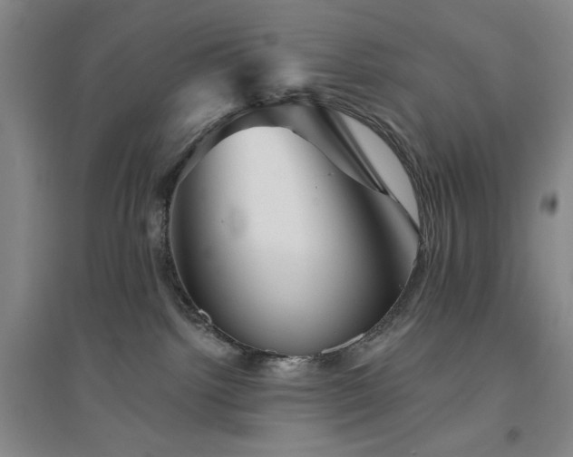 X0000094790092200711161444